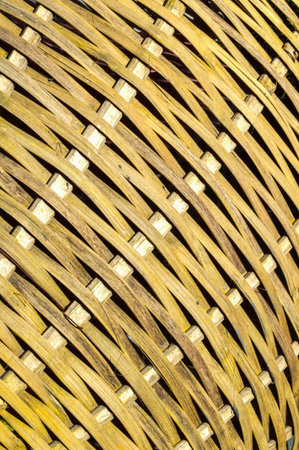 bamboo textureの写真素材