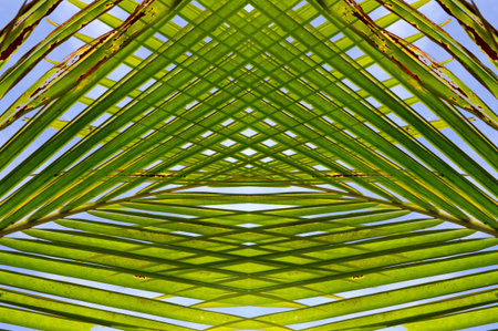 art abstrace backgroundの写真素材