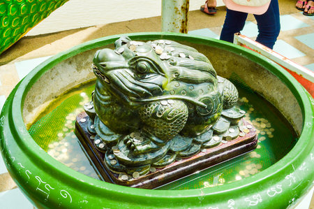 green frog statueの写真素材