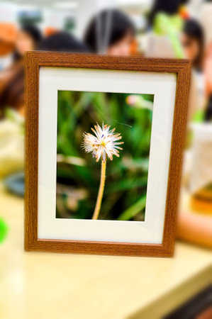 flower grass in picture frame