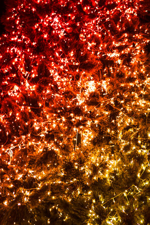 light on Christmas tree