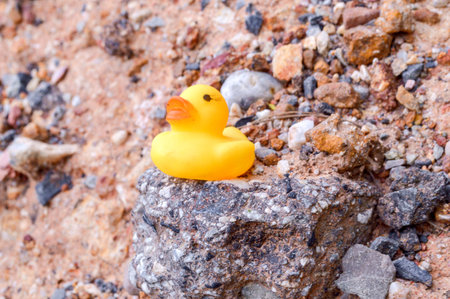 Yellow plastic duck toy on the groundの写真素材