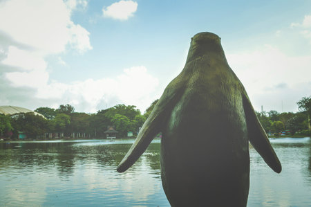 backside Penguin statue in gardenの写真素材