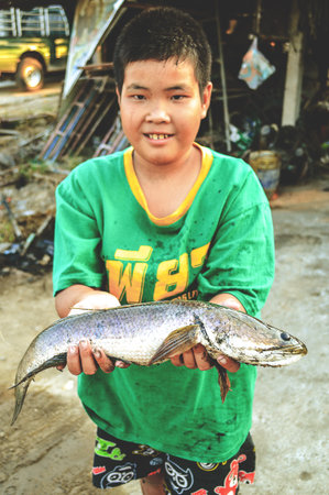 boy hold striped snakehead fishのeditorial素材
