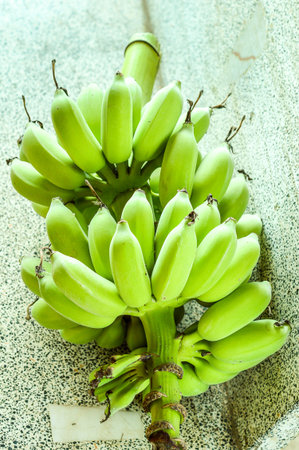 green bananaの写真素材