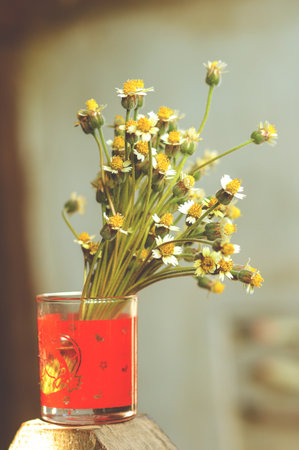 Coat buttons flower in red glassの写真素材