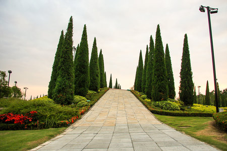 cement wall in gardenの写真素材
