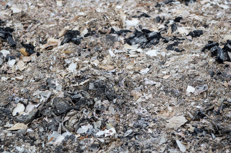 ashes on the groundの写真素材