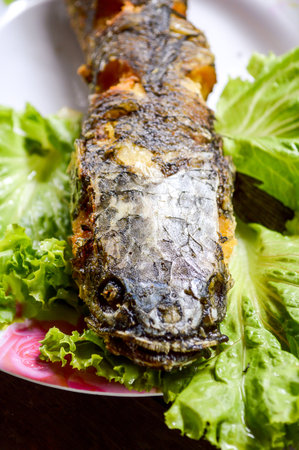 Deep Fried Snakehead Fishの写真素材