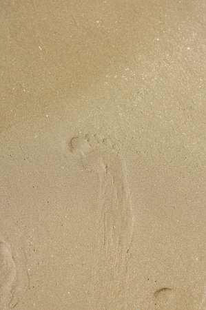 footprint on sand beachの写真素材