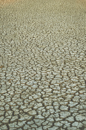 cracked soil in country Thailandの写真素材