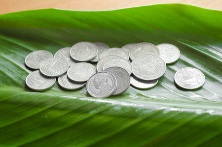 Coins of Thailand on green leavesの写真素材