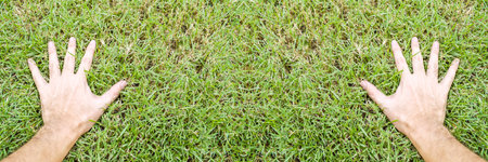 hand man on green grassの写真素材