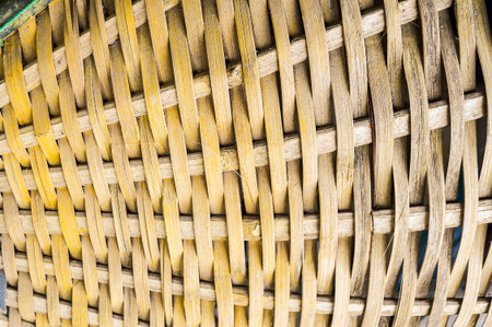 bamboo textureの写真素材