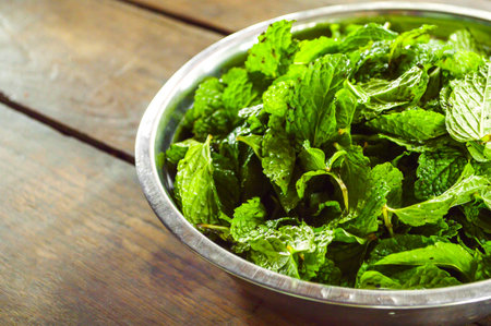 mint leaves (Metha cordifolia Opiz.)の写真素材