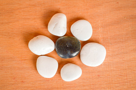 black and white on wooden floorの写真素材