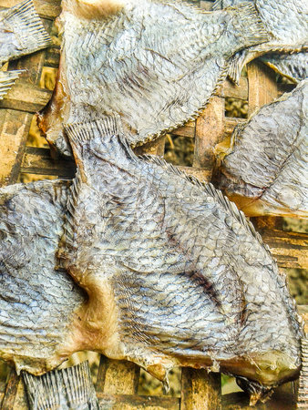 dry Nile tilapia salt fish (Thailand raw food)の写真素材