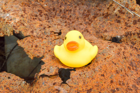 yellow plastic duck doll on rusty floorの写真素材