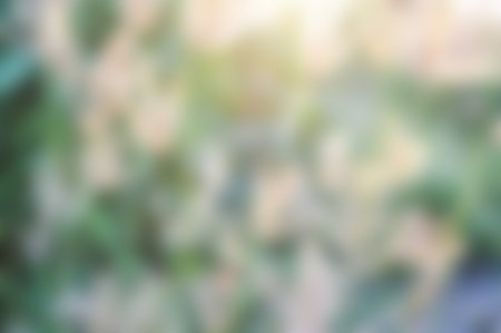 abstract blur backgroundの写真素材