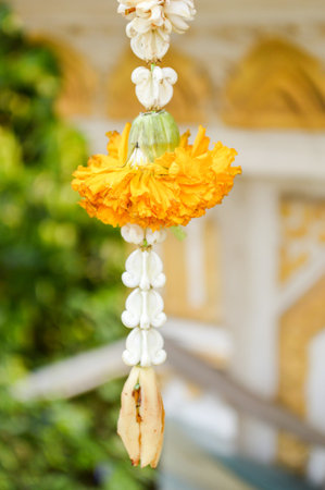 marigold garlandの写真素材