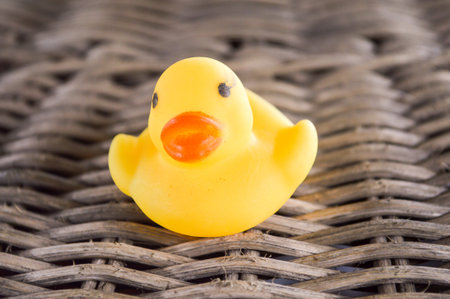yellow plastic duck doll on wooden floorの写真素材