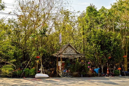Garden near roadway, Bangkok, Thailandのeditorial素材