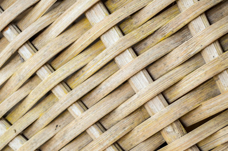 bamboo wood textureの写真素材