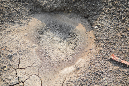 wet soilの写真素材