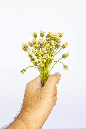 Coatbuttons flower in hand man