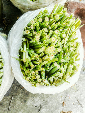 Green lemon grass treeの素材