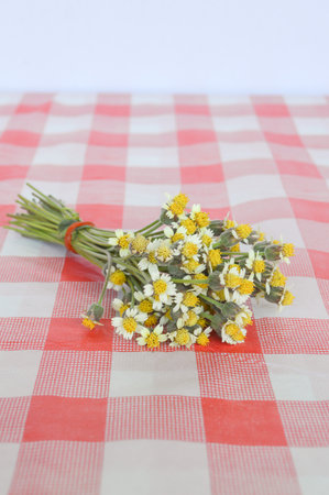 Coatbuttons flower on Tableclothの写真素材