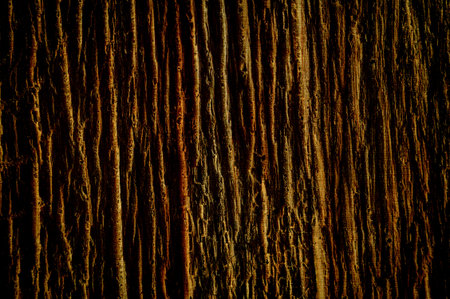 Grunge abstract pattern の写真素材