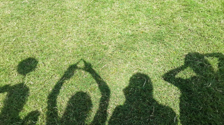 shadow my friend on green grassの写真素材