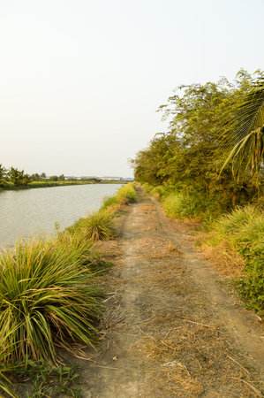Rural road in country Thailandの写真素材