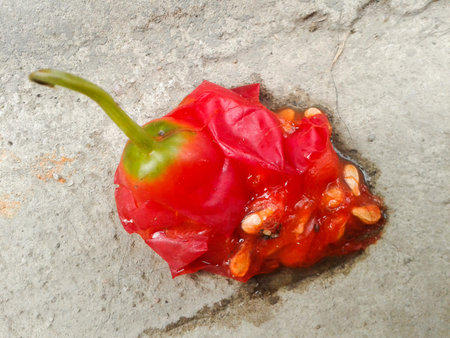 red ivy gourd fruit broken on cement floorの写真素材
