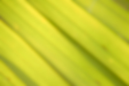 blur green abstract texture backgroundの写真素材