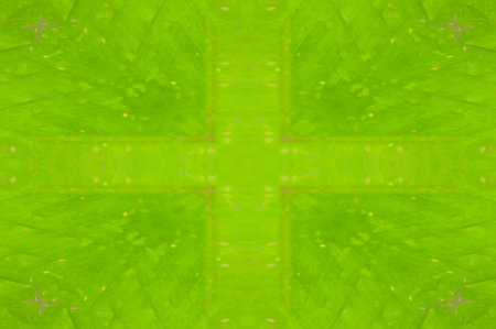 green abstract pattern backgroundの写真素材