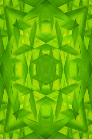 green abstract pattern backgroundの写真素材