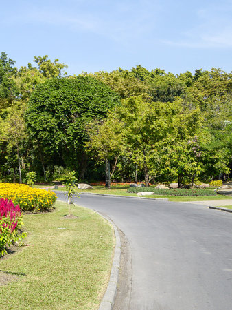 road in nature garden Thailandの写真素材