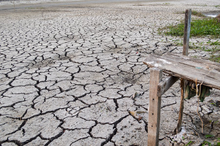 wood bridge on cracked soilの写真素材