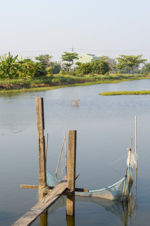 Wood bridge in country Thailandの写真素材