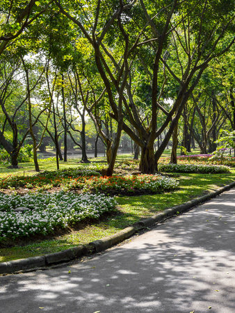 road in flower gardenの写真素材