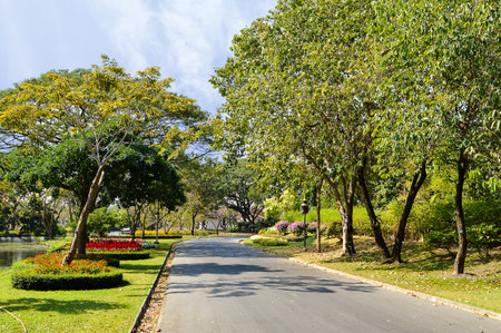 road in flower gardenの写真素材