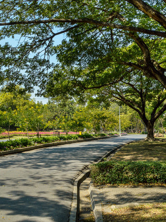 road in nature garden Thailandの写真素材