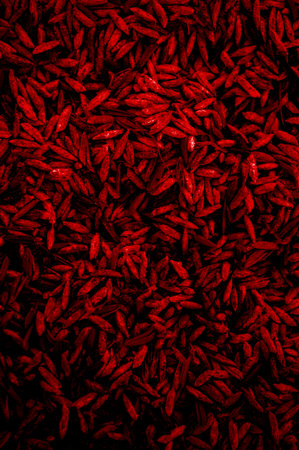 red rice paddy husk textureの写真素材