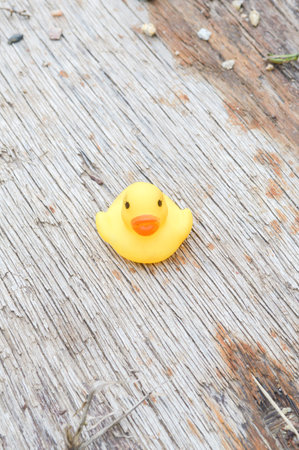 yellow plastic duck doll on wood floorの写真素材