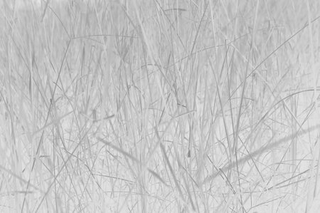 grunge abstract backgroundの写真素材