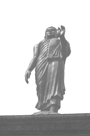 black buddha statue standing isolation