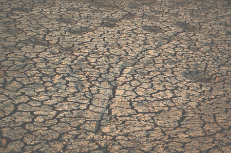 cracked soil in country Thailand