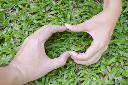heart shape by two hand on green grassの写真素材